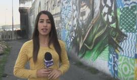 بين مقاومة  من  نوع  اخر  ورسوم  pملت  ملامح  الجدار  القبيحة  تنقسم  الآراء  حول  الرسم  على الجدران  الجرافيتية . 

تقرير دانا ابو شمسية