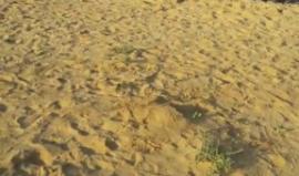 #الان 
من شمال مدينة #بيت_لاهيا 

مسيرات العودة الكبرى
#بث||محمد المصري