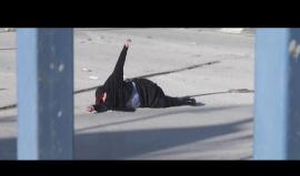 في #يوم_الأسير_الفلسطيني 
#شاهد | #كليب " بنت الاصايل" للاسيرات في سجون الاحتلال .