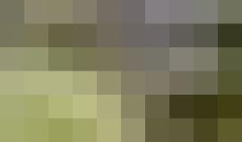 #فيديو لحظة نقل الصهاينة الذين أصيبوا جراء قصف المقاومة لغلاف غزة الى المستشفيات