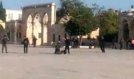 شاهد : هلع في صفوف الجنود الصهاينة في باحات الأقصى بعد اشتباك مسلح بين شبان ثلاث شبان فلسطينيين وجنود الاحتلال