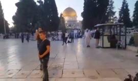 #شاهد رفع آذان المغرب من باحات المسجد الأقصى المبارك قبل قليل