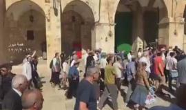 عشرات المستوطنين يقتحمون ساحات #الاقصى منذ الصباح.