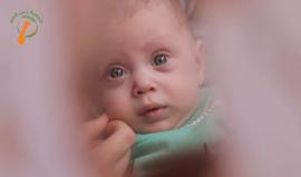 شاهد | معاناة عائلة فقيرة من قطاع #غزة تعيش ظروف قاسية يعيلها شاب معاق .. يناشد أهل الخير لتغير حالته..
للمساهمة في مساعدة العائلة التواصل على الأرقام التالية :
أبو عبيدة : 00970595573874 أو أبو يوسف : 00972597709906