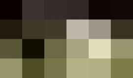 #شاهد من تواجد جنود الاحتلال أمام منزل أحد المواطنين في دورا جنوب غرب الخليل