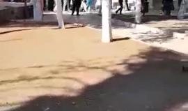 عشرات المستوطنين يقتحمون باحات #المسجد_الأقصى بحماية قوات الاحتلال