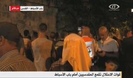 #مباشر من باب الأسباط أحد أبواب #المسجد_الأقصى المبارك