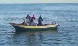 صيد الأسماك في بحر غزة صباح اليوم