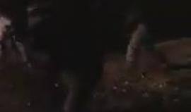 #شاهد إطلاق النار على الشهيد يعقوب أبو القيعان في قرية أم الحيران بالنقب المحتل قبل ايام