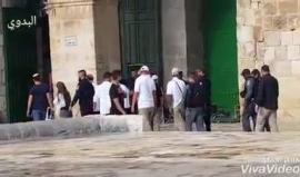 مجموعة جديدة من المستوطنين تقتحم ساحات المسجد الأقصى المبارك بحماية أمنية