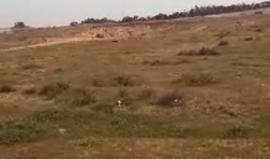 #مباشر آليات الاحتلال تتوغل في المناطق الشرقية الحدودية لمخيم البريج على حدود وسط قطاع غزة استباقا لمسيرات العودة الكبرى

مراسلنا : احمد المقادمة