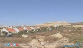#شاهد | خطة "اسرائيلية" حكومية لتعزيز المشروع الاستيطاني في #غور_الاردن.
تقرير قناة القدس