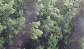 #فيديو تساقط غزير للأمطار في قطاع غزة