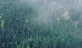 حركة بارعة من قائد هيليكوبتر خلال عمليات إطفاء نار شبت في أشجار بمقاطعة بريتيش كولومبيا بكندا