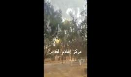 #شاهد تساقط الأمطار في ساحات المسجد الأقصى المبارك، قبل قليل.