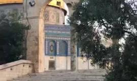 #بث_مباشر | اناشيد عقب صلاة الفجر بالمسجد الأقصى المبارك

تصوير : ابراهيم السنجلاوي