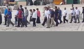 #شاهد مستوطنة تقدم شروحات عن"الهيكل المزعوم" أثناء اقتحام باحات المسجد الأقصى وسط حراسة مشددة صباح اليوم