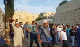 #فيديو| قوات الاحتلال تجبر المصلين على مغادرة محيط باب الأسباط أحد أبواب المسجد الاقصى.