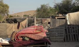 For more details LIKE our page

تابعوا صفحتنا باللغة الانجليزية