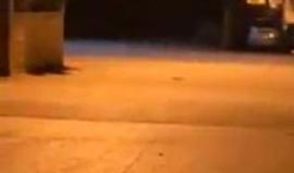 #شاهد 
 قوات الاحتلال تحتجز 3 شبان عقب اقتحامها بلدة راس كركر قضاء رام الله.