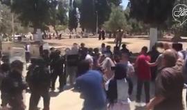 #شاهد قوات الاحتلال تعتدي على النساء والشبان في #المسجد_الأقصى