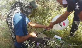 شاهد : لقطات منوعة من جمعة #موحدون_لاسقاط_الصفقة شرق غزة

إنتاج  إعـــــــلام الـــتفـاح