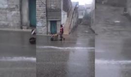 تساقط الأمطار في بيت أمر بالخليل 

تصوير: محمد عياد