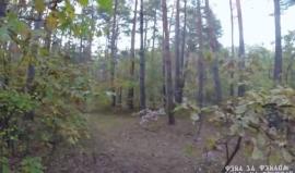 انتشر فيديو على مواقع التواصل الاجتماعي الروسية يظهر دب روسي يطارد شاب يركب دراجة في الغابة