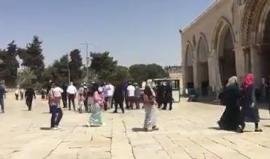 #شاهد | جانب من اقتحام مجموعة من المستوطنين لباحات المسجد الأقصى المبارك قبل قليل.