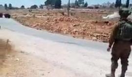 #شاهد | جانب من المواجهات المندلعة في قرية النبي صالح شمال غرب رام الله.