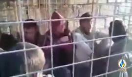 نشطاء يتداولون مقطعا يظهر احتجاز ميليشيات الحشد الشعبي لمجموعة من النازحين في قفص جنوب الموصل