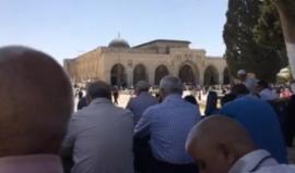 #مباشر : خطبة الجمعة في المسجد الاقصى المبارك