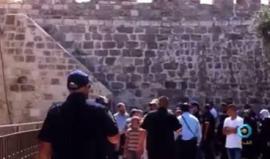 #شاهد
تدنيس #قبة_الصخرة يصعد الإنتهاكات بحق #المسجد_الأقصى
تقرير براء فؤاد لمحمد