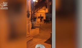 فيديو من اقتحام قوات الاحتلال بلدة برقين في جنين