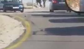 #شاهد جنود الاحتلال يطلقون النار على شاب عند حاجز عطارة شمالي رام الله صباح اليوم