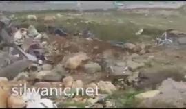 #شاهد الاحتلال يهدم منزل عائلة المواطن صالح ترك في العيسوية بالقدس ويشرد قاطنيه في ظل الأجواء الباردة