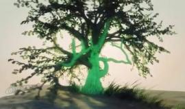 #شاهد 
#حماس أصلها ثابت وفرعها في السماء 

 #حماس29