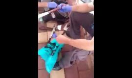 #شاهد الاحتلال يعتقل فلسطيني في بيت عوا بالخليل بزعم أنه كان ينوي تنفيذ هجوم ضد أهداف "إسرائيلية"