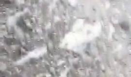 #شاهد كيف اعتقلت أجهزة السلطة في طولكرم الأسير المحرر حكمت عودة بعد الإعتداء عليه بالضرب المبرح.