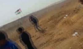 #فيديو لحظة تمكن الشبان الفلسطينيين من سحب السياج الشائك الذي وضعه الاحتلال شرق غزة 

تصوير: محمد جمال