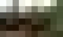 #شاهد تساقط الأمطار في الأراضي الفلسطينية المحتلة صباح اليوم