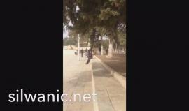 مستوطنون يقتحمون ساحات المسجد الاقصى بعد صلاة الظهر .