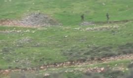 هنا بطش واجرام المستوطنين .. 

#شاهد قطعان من المستوطنين يهاجمون أهالي قرية بورين بنابلس ويطلقون النيران بجانب قوات الاحتلال التي توفر الحماية لهم