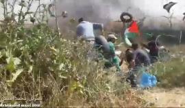 #فيديو الاحتلال استهدف متظاهري غزة الجمعة الماضية بغازات مجهولة لونها أخضر