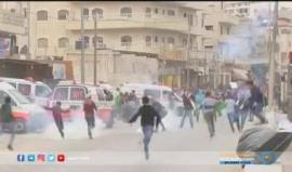 #شاهد 
دراسة تكشف بأن مخيم عايدة شمال بيت لحم من أكثر مناطق العالم تعرضاً للغاز المسيل للدموع.