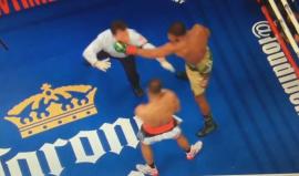 ملاكم سويدي يوجه لكمة قوية للحكم!