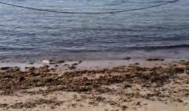 أجواء مباشرة من شاطئ مدينة #حيفا الفلسطينية الآن ..