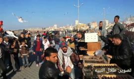 #فيديو الاتحاد الفلسطيني للحمام الزاجل في قطاع غزة أطلق اليوم موسم السباقات لهواة رياضة الحمام الزاجل لعام 2018