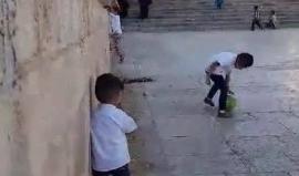 #شاهد أطفال مقدسيين يلعبون في ساحات المسجد الأقصى قبل الغروب.