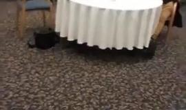 #شاهد .. نشطاء فلسطينيون يقتحمون مكان عقد لقاء تطبيعي مع الاحتلال ويفشلونه في فندق "الامباسدور" بمدينة القدس المحتلة.